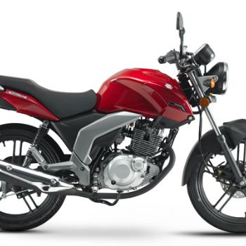 ������ľ  GSX150