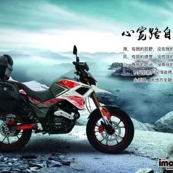 ������ȭYG250-2X���ĵ����