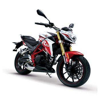  ȫ������Ħ�г�RZ3����Ħ�� ZS250GS-2A�˶��ʹ�