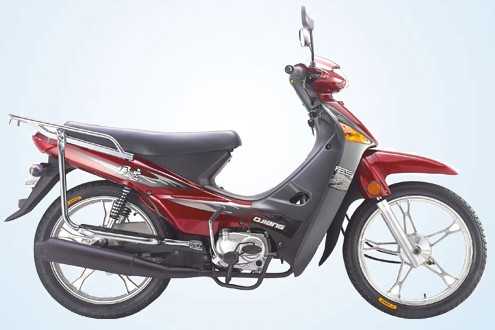 Ǯ�� ���� QJ110-18C a2-1