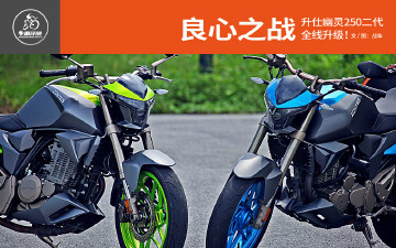 ����ZS250-S ��������������250���������