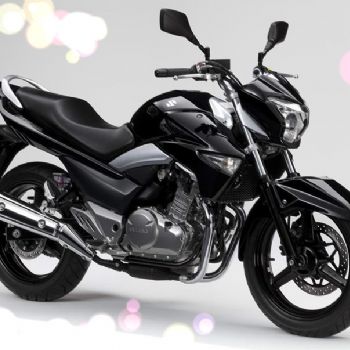  ������ľ�����GW250