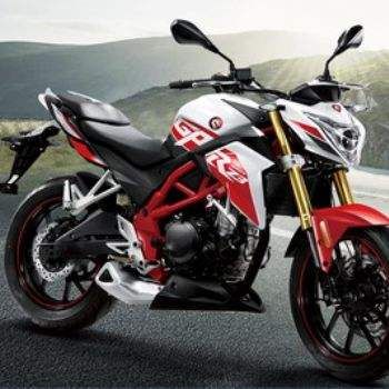 ������ RZ3 ZS250GS-2A