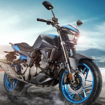  ZONTES ZS250-S������
