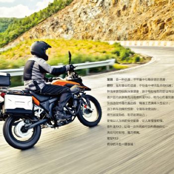 ����������250