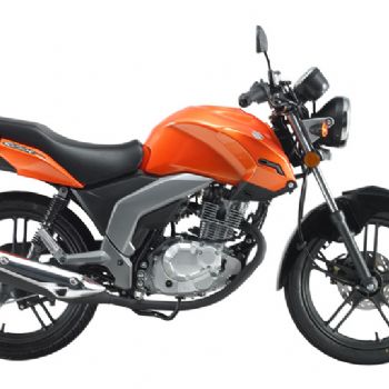 ������ľ  GSX150