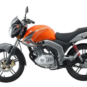 ������ľ  GSX125