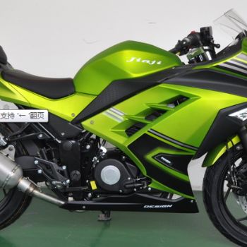 ���� С���� CX250-3A