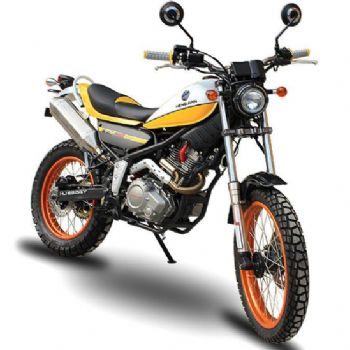 �ƺ� ħ��ʦ HH250GY