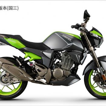 ���� ���� ZS250-S ������