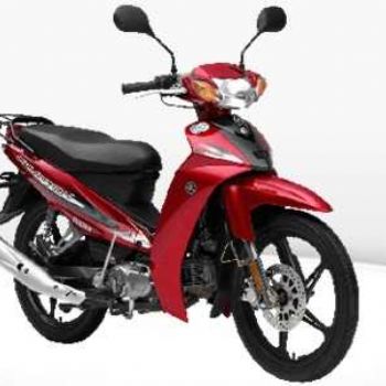 �ֺ���������  LYM110-2