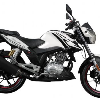 ���� Z-one ZS125-48(2014��)��
