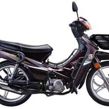 ���� ���� ZS110-9S
