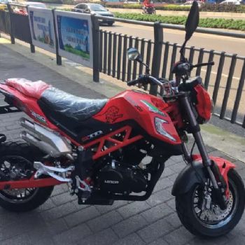 ����С����200CC�����ܳ�