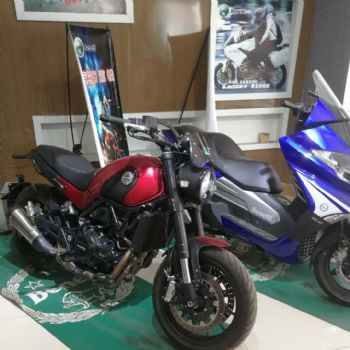  ��������ʨ500