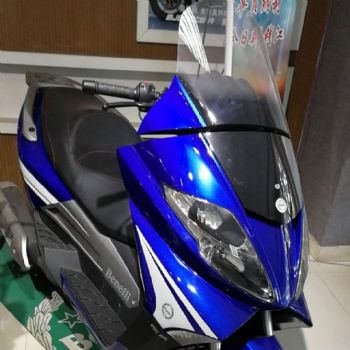  ����������250