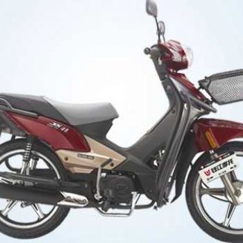 Ǯ�� ��� QJ110-10C a1-1