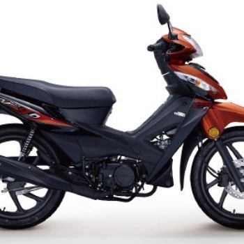 ����-���� ��� WH100-2A(�ഺ��)��