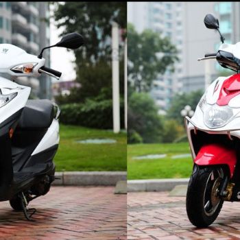 VN100 HJ100T-6A������ľ̤�峵��