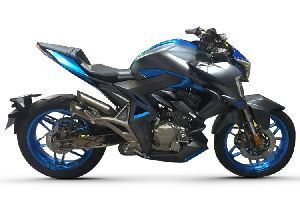 ���� �ֳ��� 310R