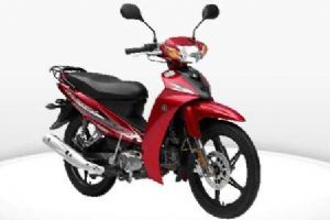 �ֺ��������� ���� LYM110-2