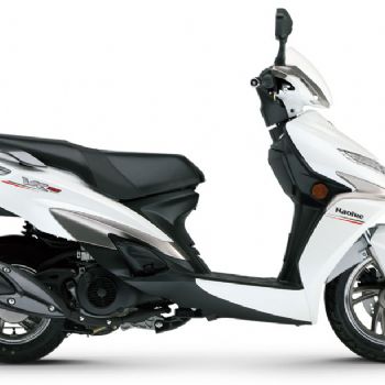 ������ľ VR125 HJ125T-19