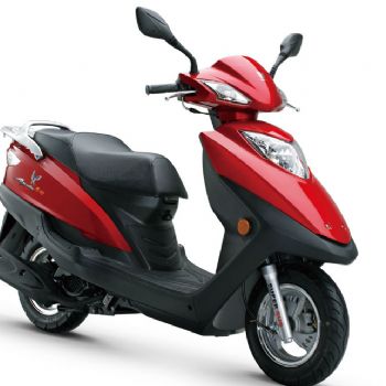 ������ľ ӥ�� HJ125T-10E