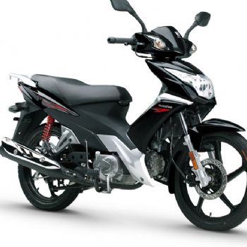 ������ľ �ŵ� HJ110-3������