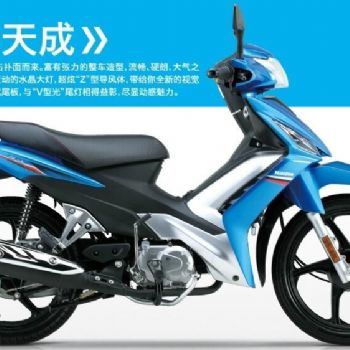 ������ľ �ŵ� HJ110-5����Ħ�г�