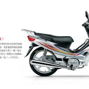  ������ľ ϲ�� HJ110-2C����Ħ�г���