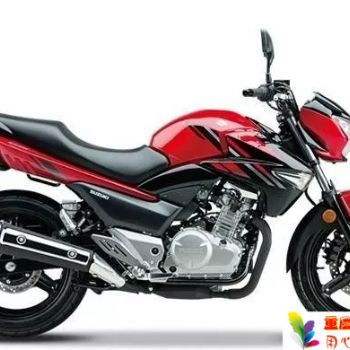 ������ľ ��·�ܳ� ��ľ���GW250˫��