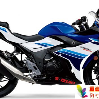 ������ľ GSX250R