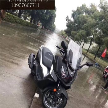 ����CRUSISYM300