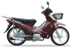 ¡�� ���� LX110-31A