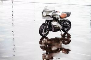 ��������� ����Z900RS��THE GOOSE��