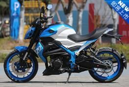 �¸о�����ս��XGJ250-3�¿�ֳ�����ˮ��˫��6����
