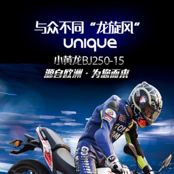 BJ250-15С����