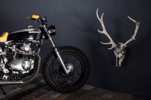 ����CB125TС��TRACKER