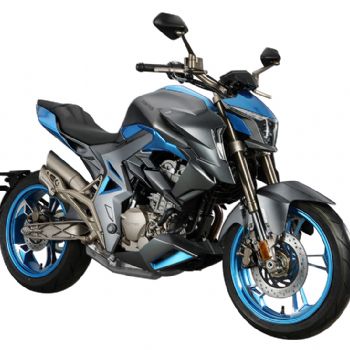  ����310R