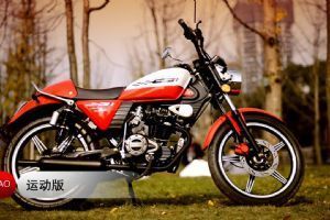 �¸о�150-31�������棩