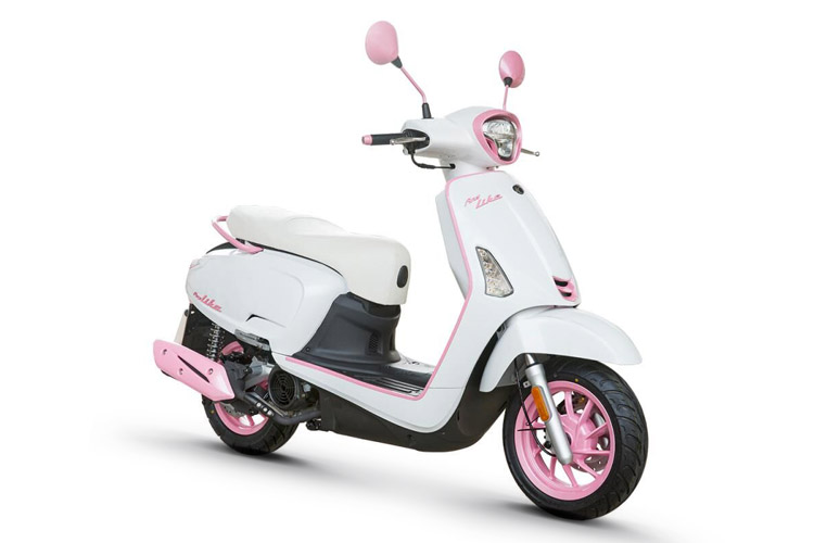 ���� Any Like Q150(2019)