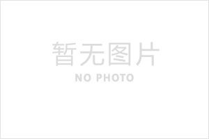 ���� ��Ӱ ZS100T-6