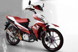 ���� V�� ZS110-53�������ͣ�