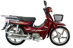 �ι� ���� JG110 ������