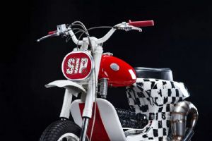 ���Զ���˹�ķ��VESPA