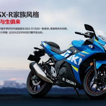 ��ľGSX��250 ABS