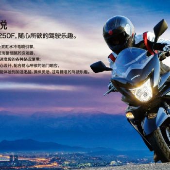  ������ľGW250F