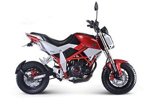 �ƺ� С���� HH250GY-3(2016)��