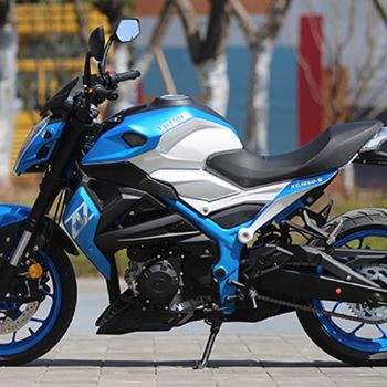 �¸о� ����ս�� XGJ250-6