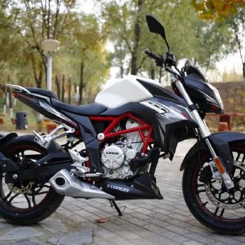  ¡���޼�300R